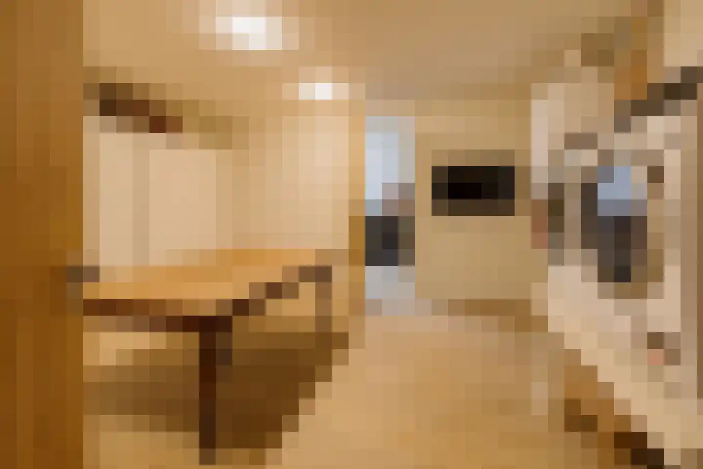 Bekslaan 58 Vogelenzang thumbnail 51