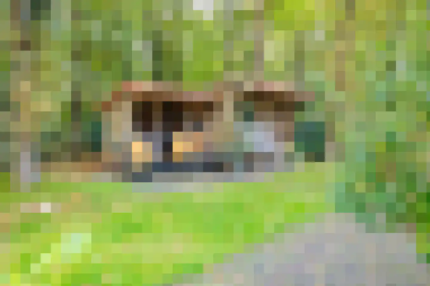 Bekslaan 58 Vogelenzang thumbnail 57