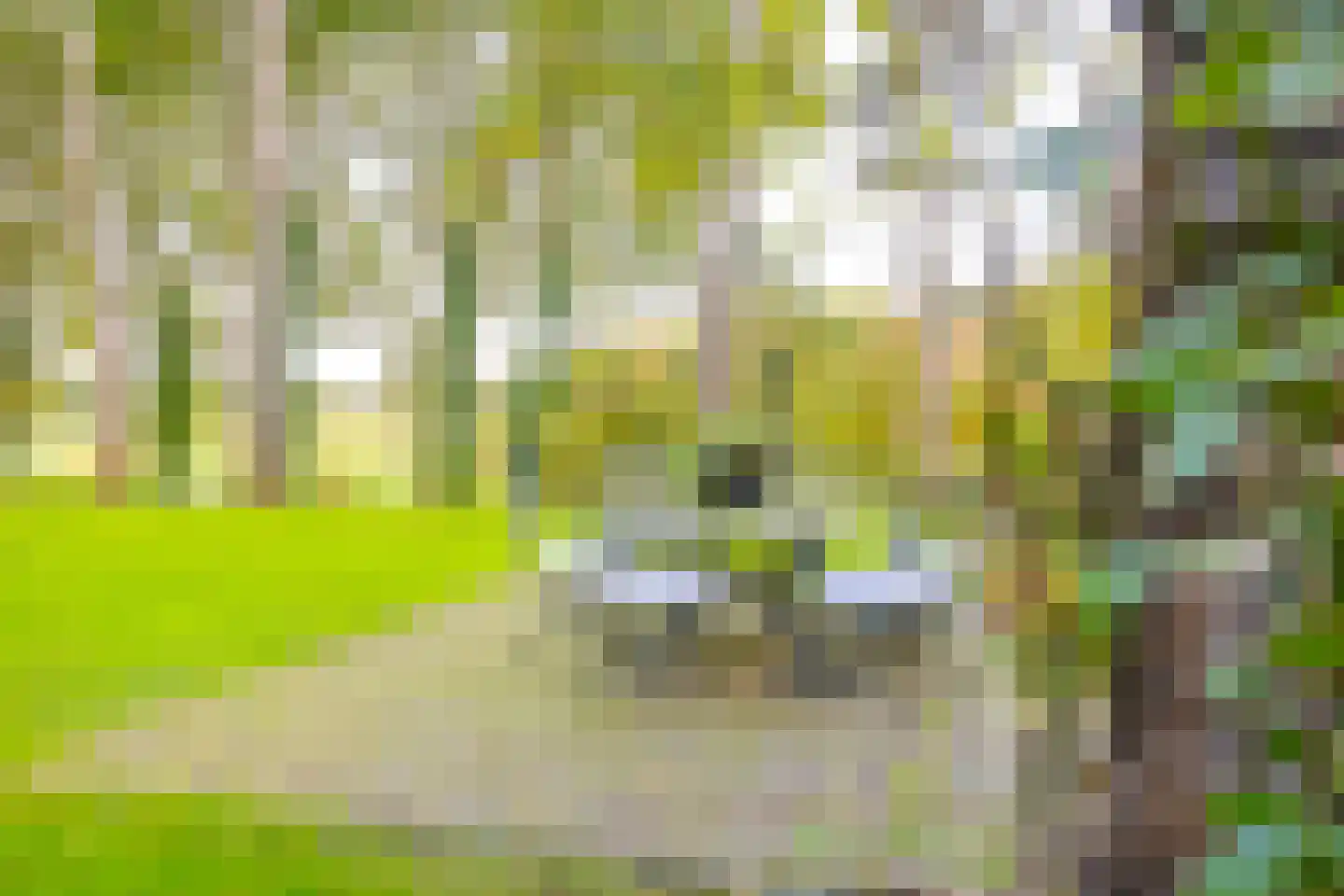 Bekslaan 58 Vogelenzang thumbnail 58