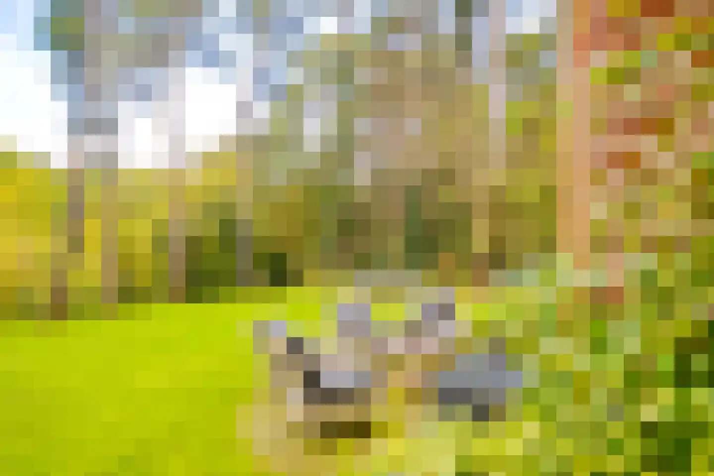 Bekslaan 58 Vogelenzang thumbnail 59