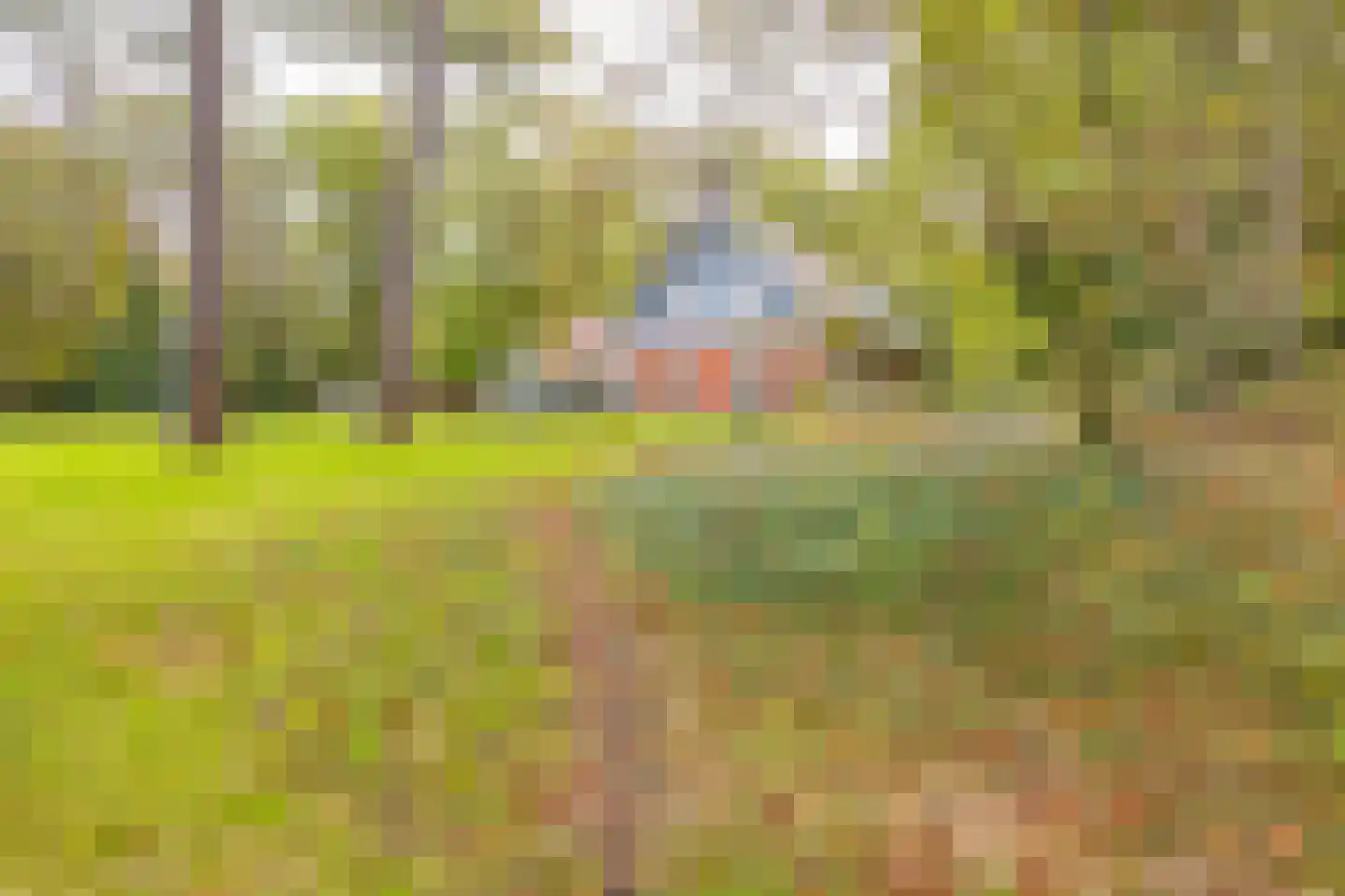 Bekslaan 58 Vogelenzang thumbnail 6