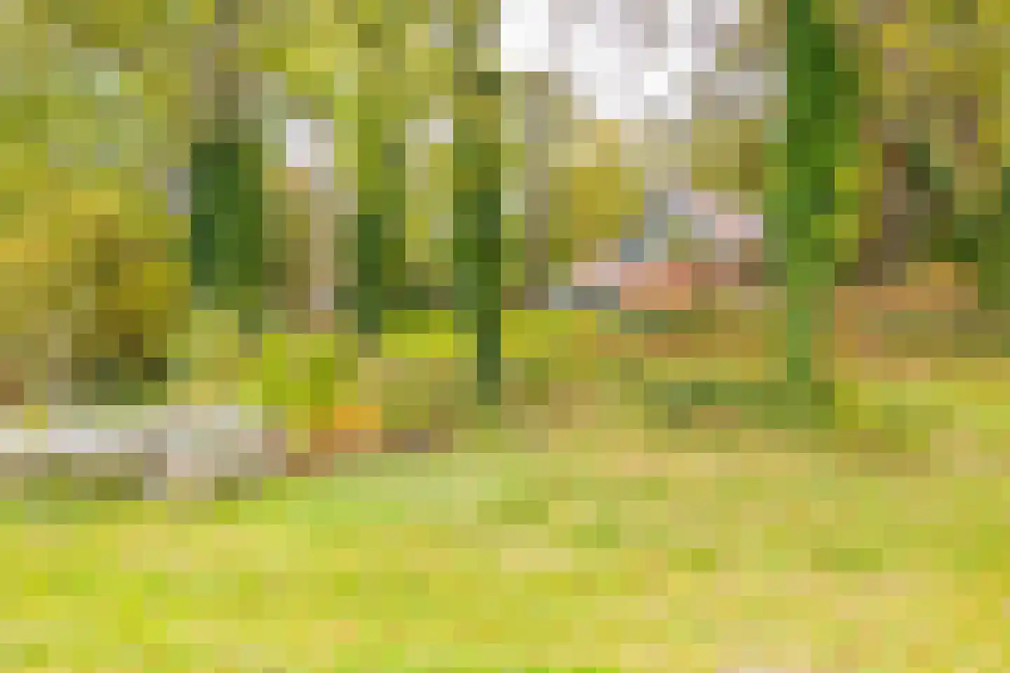 Bekslaan 58 Vogelenzang thumbnail 60