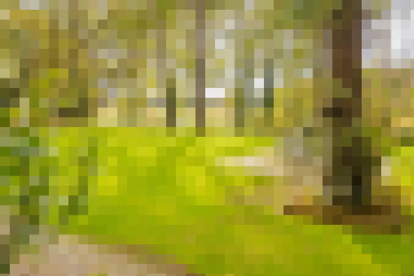 Bekslaan 58 Vogelenzang thumbnail 61