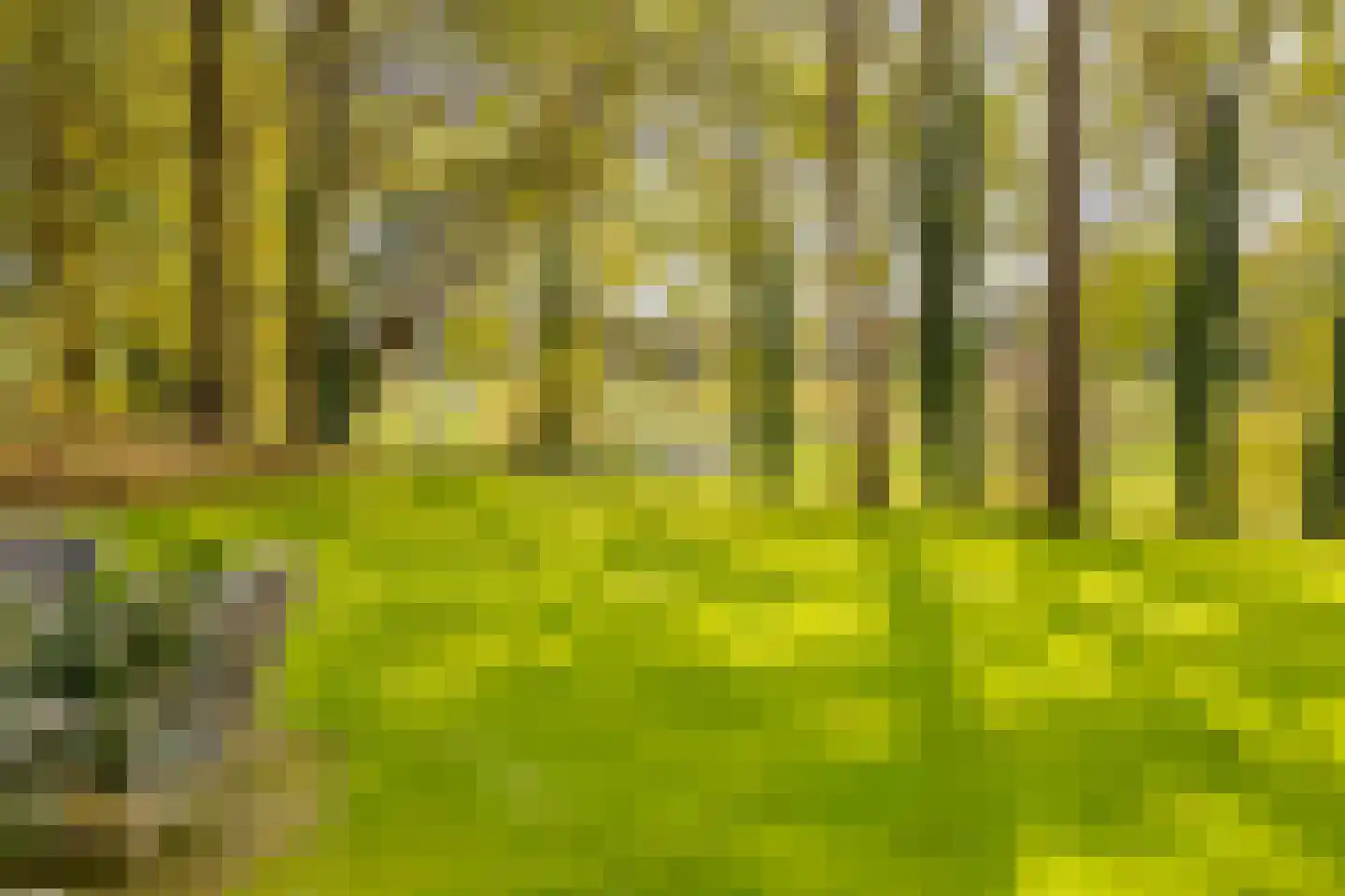 Bekslaan 58 Vogelenzang thumbnail 62