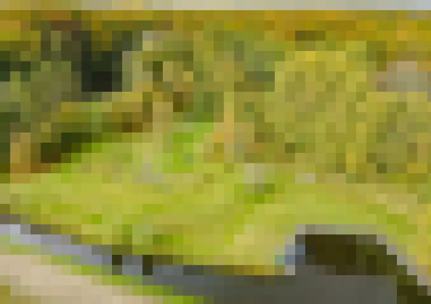 Bekslaan 58 Vogelenzang thumbnail 63