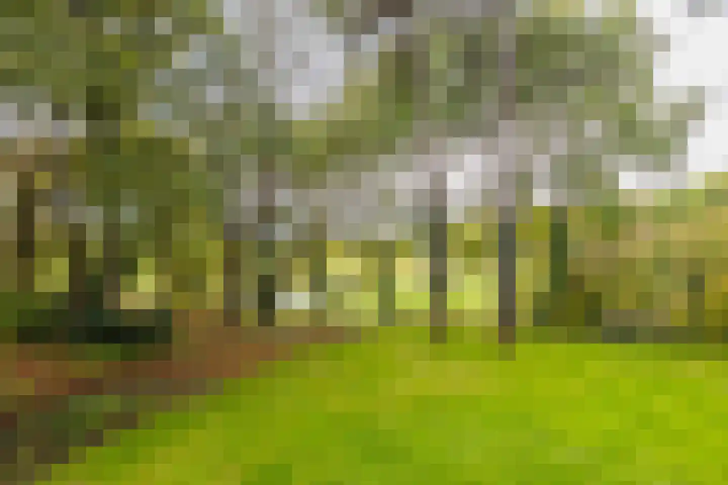 Bekslaan 58 Vogelenzang thumbnail 67