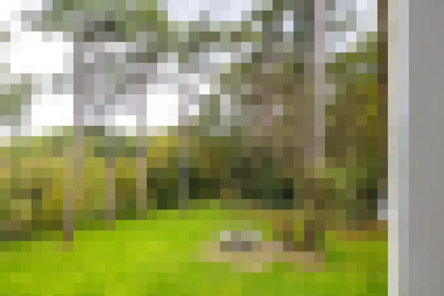 Bekslaan 58 Vogelenzang thumbnail 68