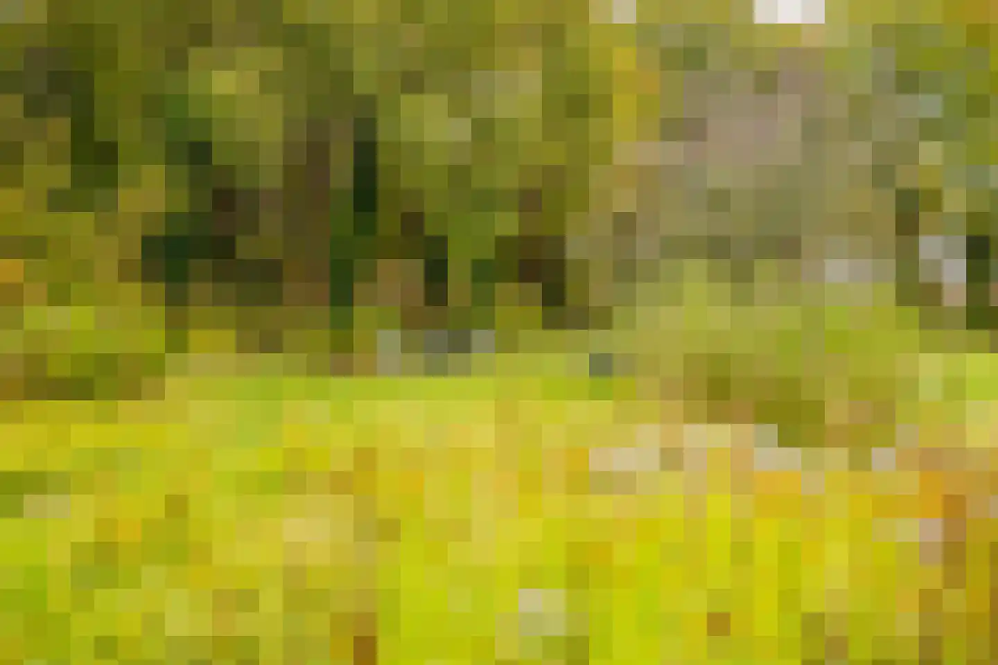 Bekslaan 58 Vogelenzang thumbnail 69