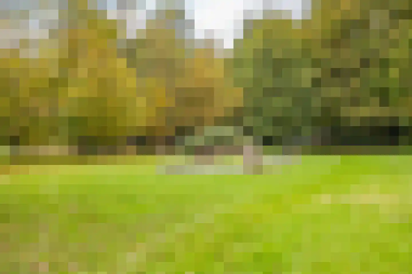 Bekslaan 58 Vogelenzang thumbnail 70