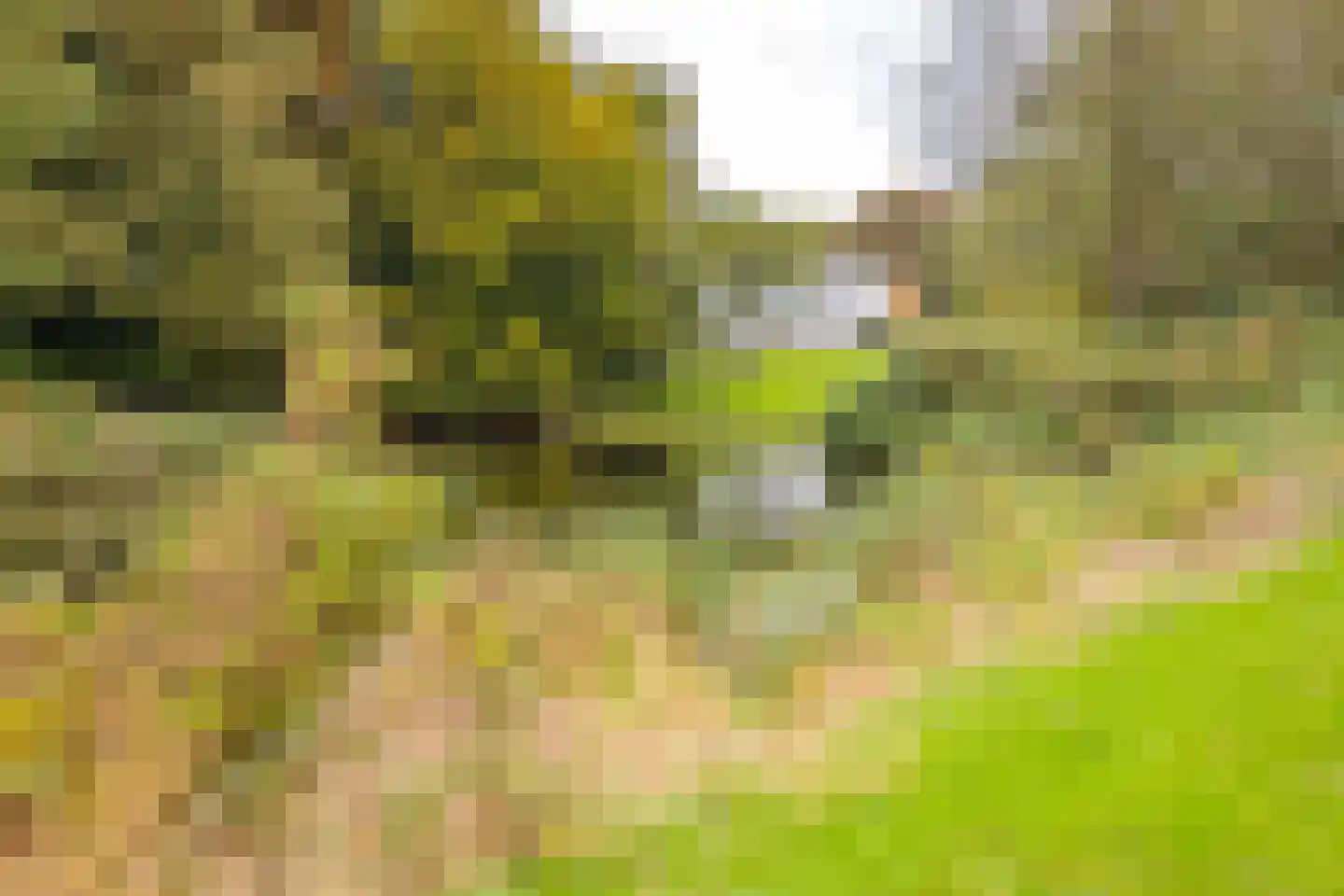Bekslaan 58 Vogelenzang thumbnail 71
