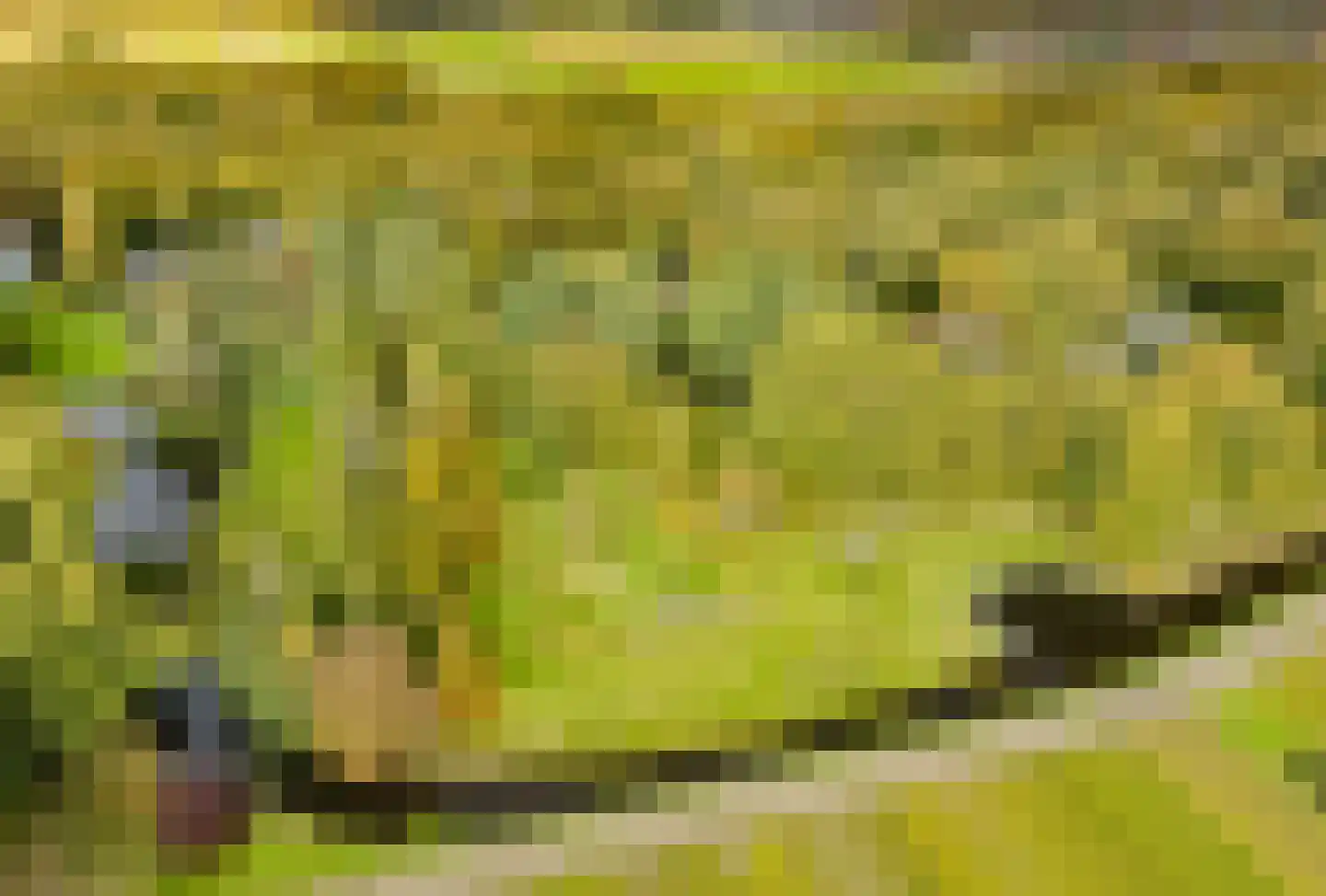 Bekslaan 58 Vogelenzang thumbnail 72