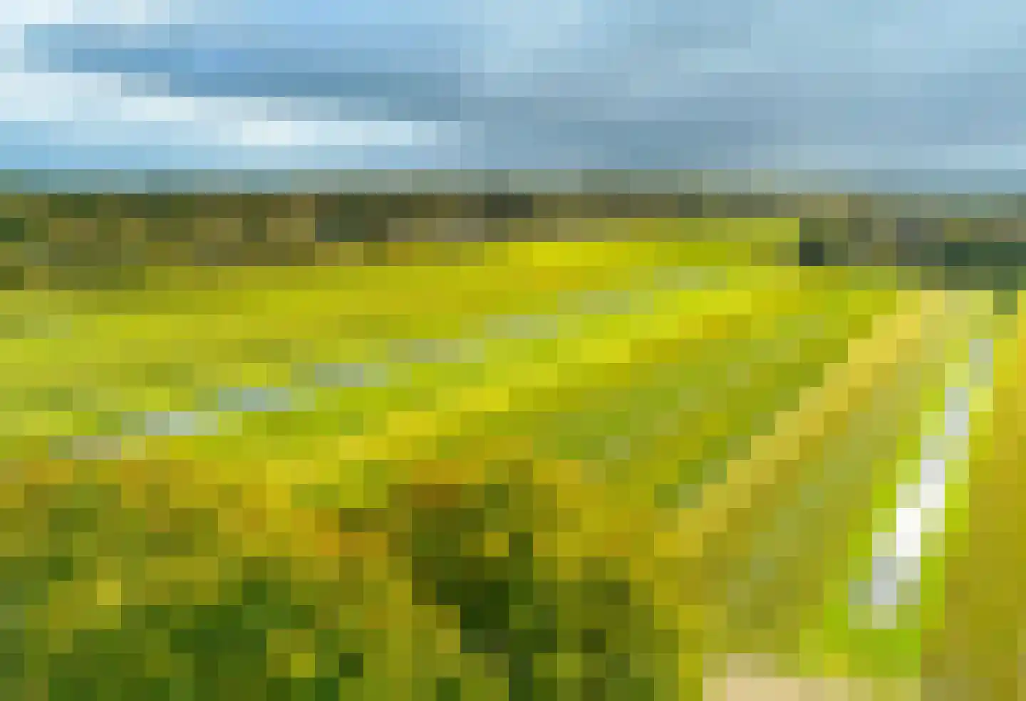 Bekslaan 58 Vogelenzang thumbnail 73