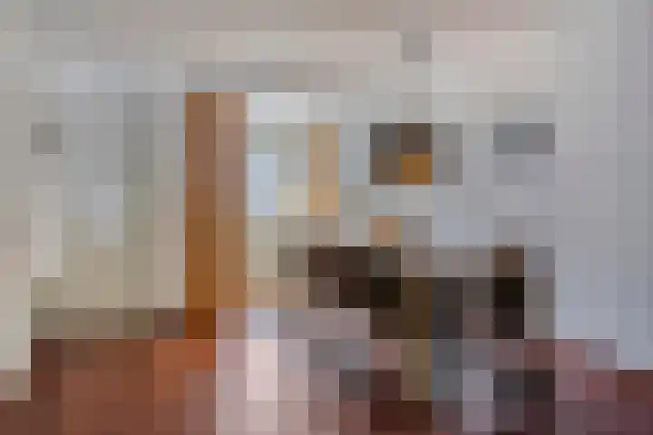Bekspringhoek 111 Enschede thumbnail 10
