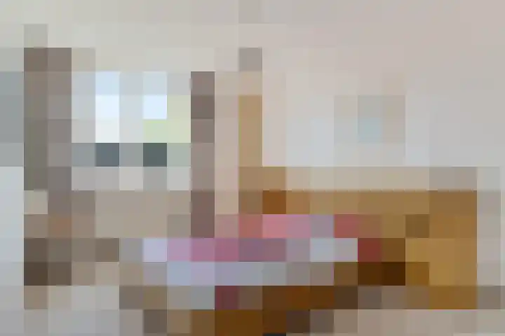 Bekspringhoek 126 Enschede thumbnail 18