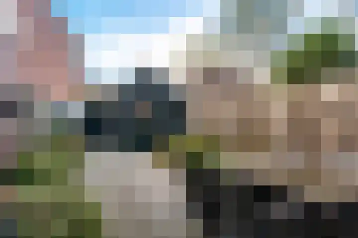 Bekspringhoek 126 Enschede thumbnail 28