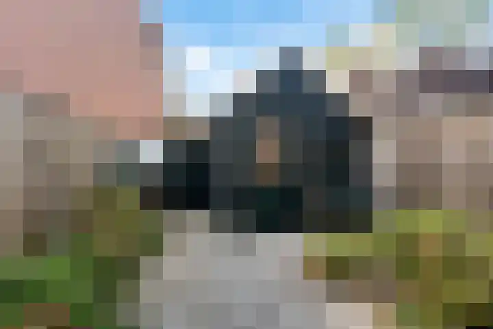 Bekspringhoek 126 Enschede thumbnail 30