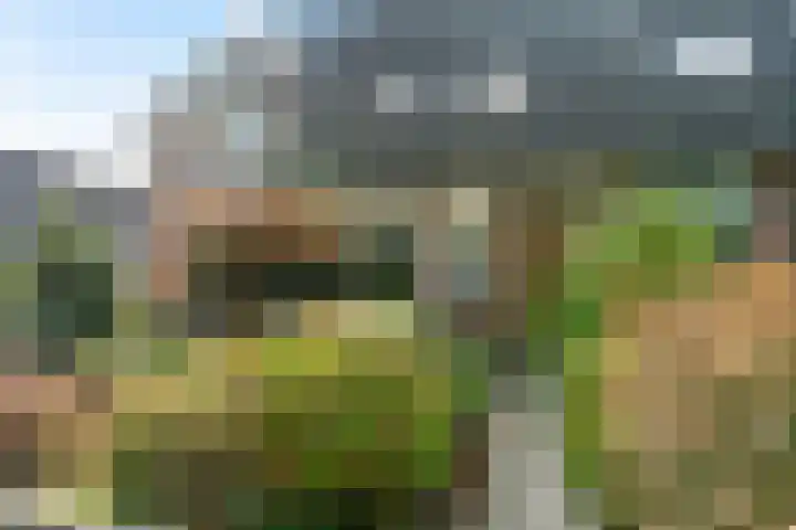Bekspringhoek 126 Enschede thumbnail 5