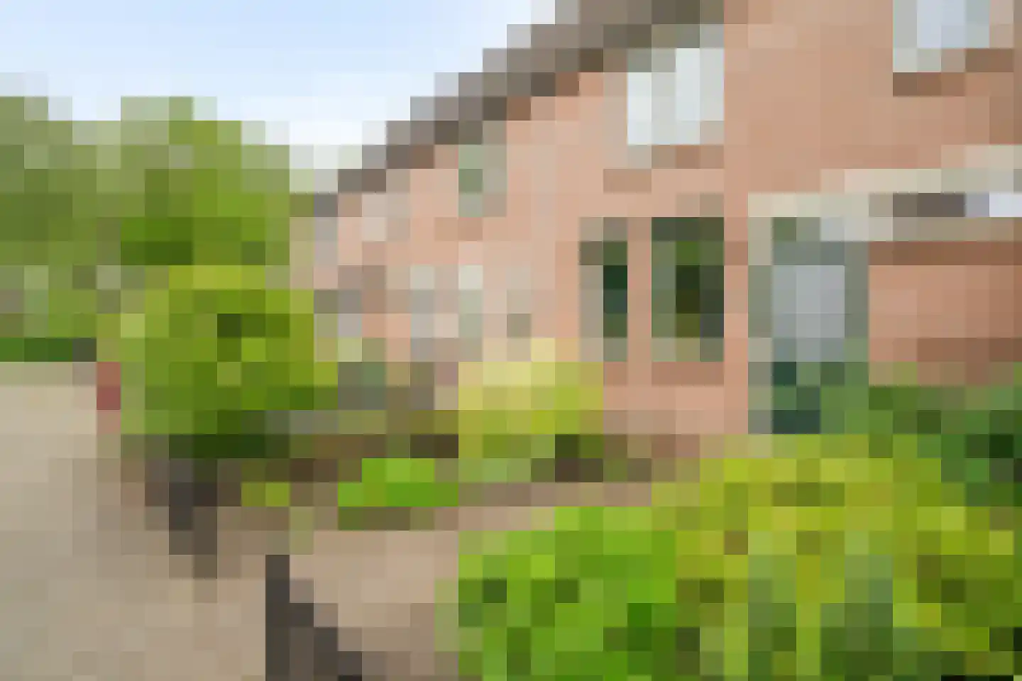Bekspringhoek 127 Enschede thumbnail 36