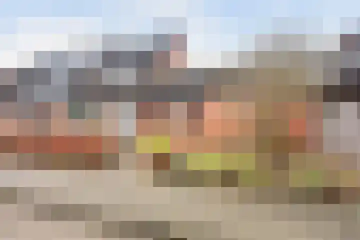 Bekspringhoek 130 Enschede