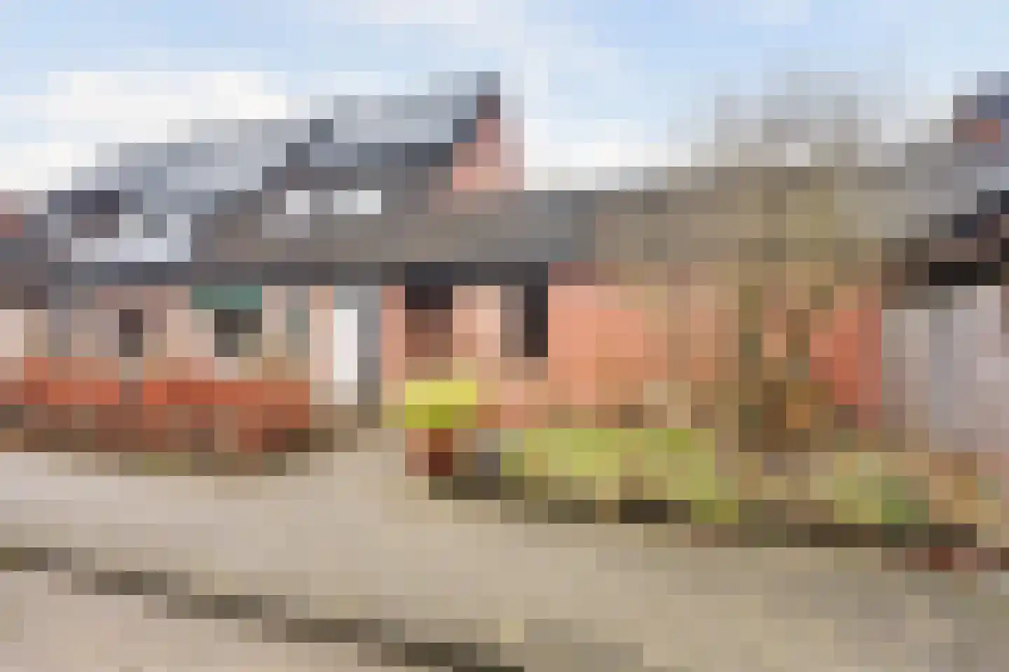 Bekspringhoek 130 Enschede