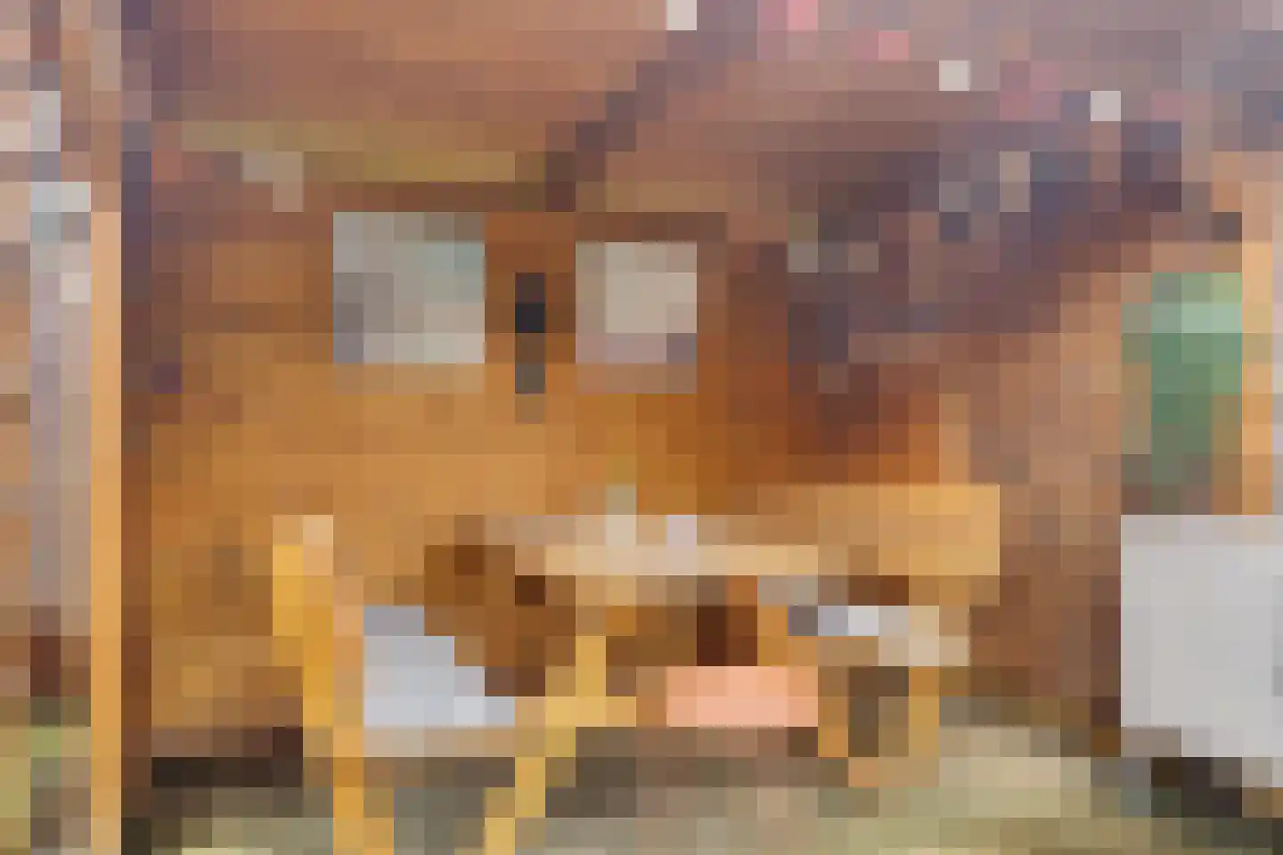 Bekspringhoek 130 Enschede thumbnail 32