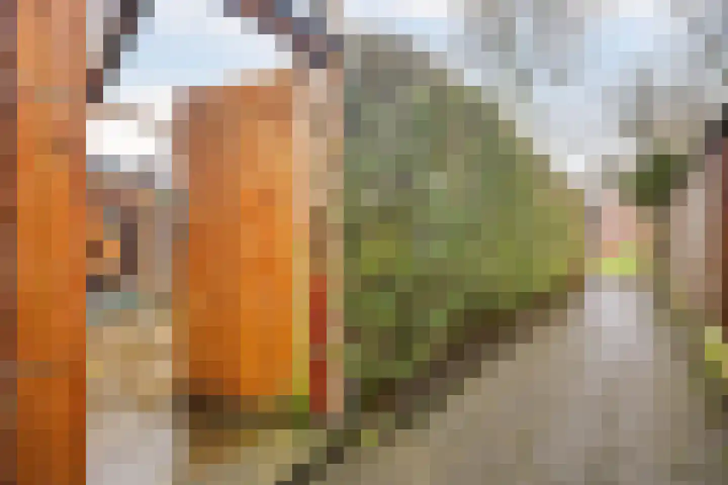 Bekspringhoek 130 Enschede thumbnail 33