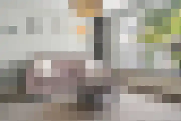 Bekspringhoek 209 Enschede thumbnail 10
