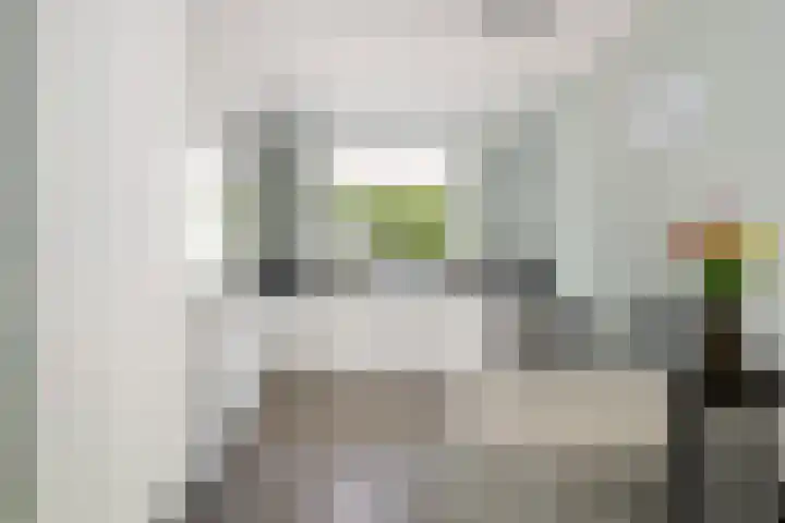 Bekspringhoek 209 Enschede thumbnail 13