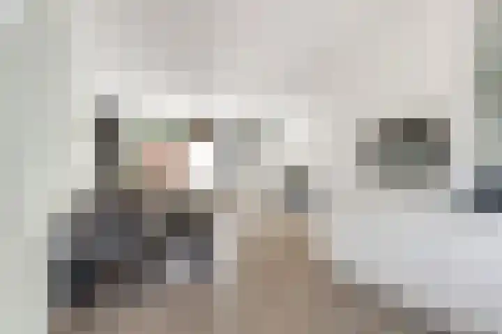 Bekspringhoek 209 Enschede thumbnail 18