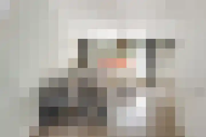 Bekspringhoek 209 Enschede thumbnail 19