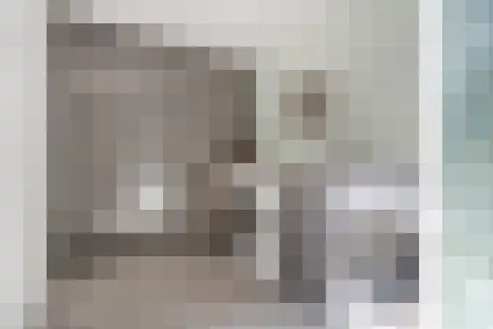 Bekspringhoek 209 Enschede thumbnail 21