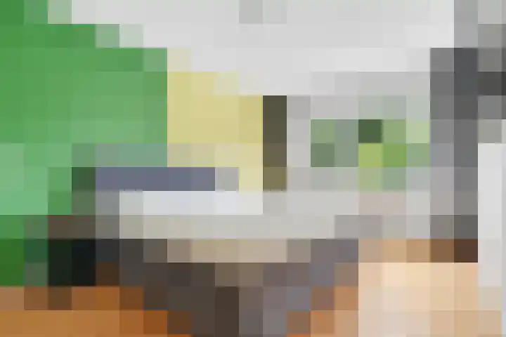 Bekspringhoek 209 Enschede thumbnail 24