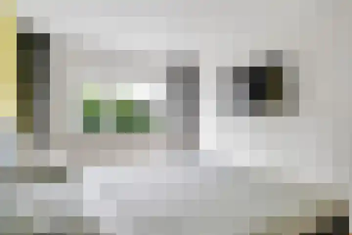 Bekspringhoek 209 Enschede thumbnail 25