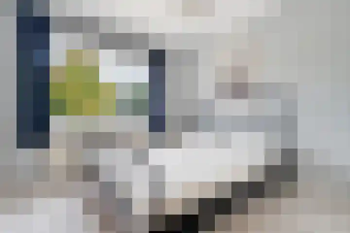 Bekspringhoek 209 Enschede thumbnail 26
