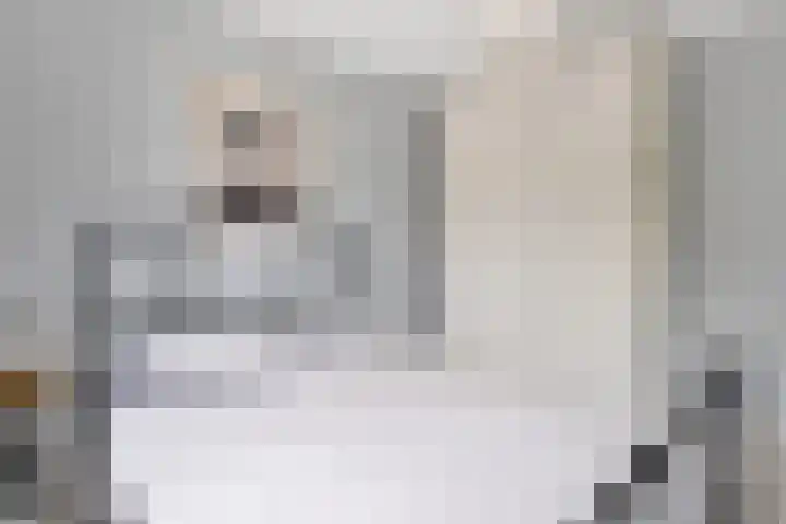 Bekspringhoek 209 Enschede thumbnail 28