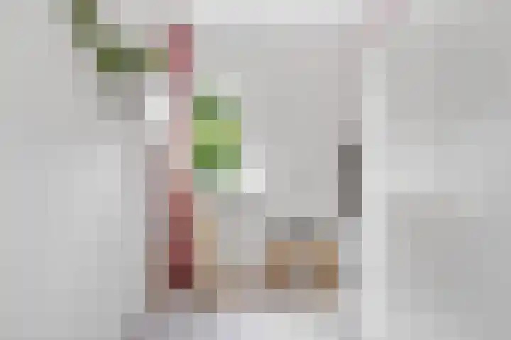 Bekspringhoek 209 Enschede thumbnail 29