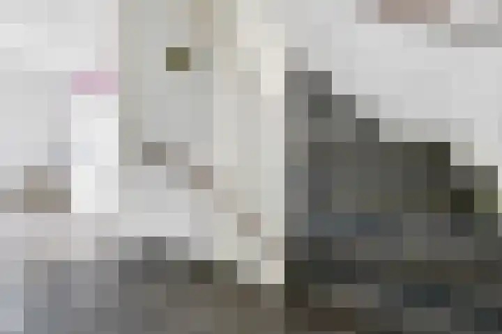 Bekspringhoek 209 Enschede thumbnail 34