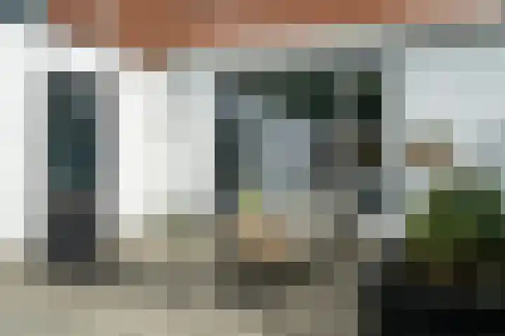 Bekspringhoek 209 Enschede thumbnail 41