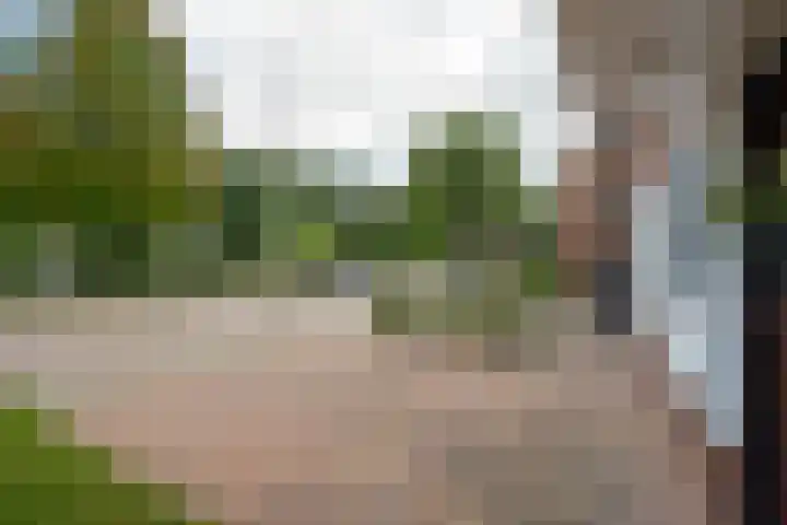 Bekspringhoek 209 Enschede thumbnail 7