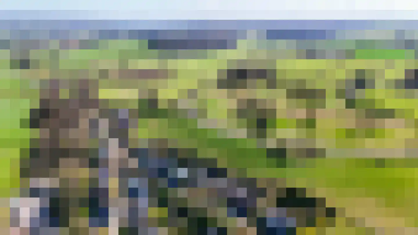 Beksweg 16 Gulpen foto 3