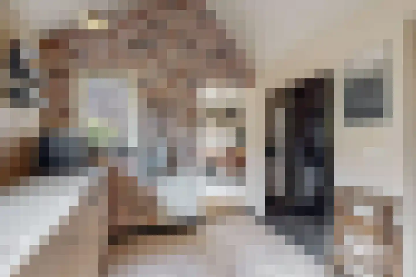 Belboomweg 32 Stein thumbnail 10