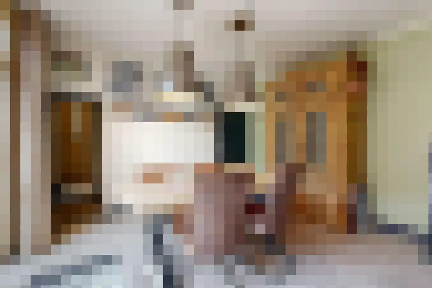 Belboomweg 32 Stein thumbnail 12