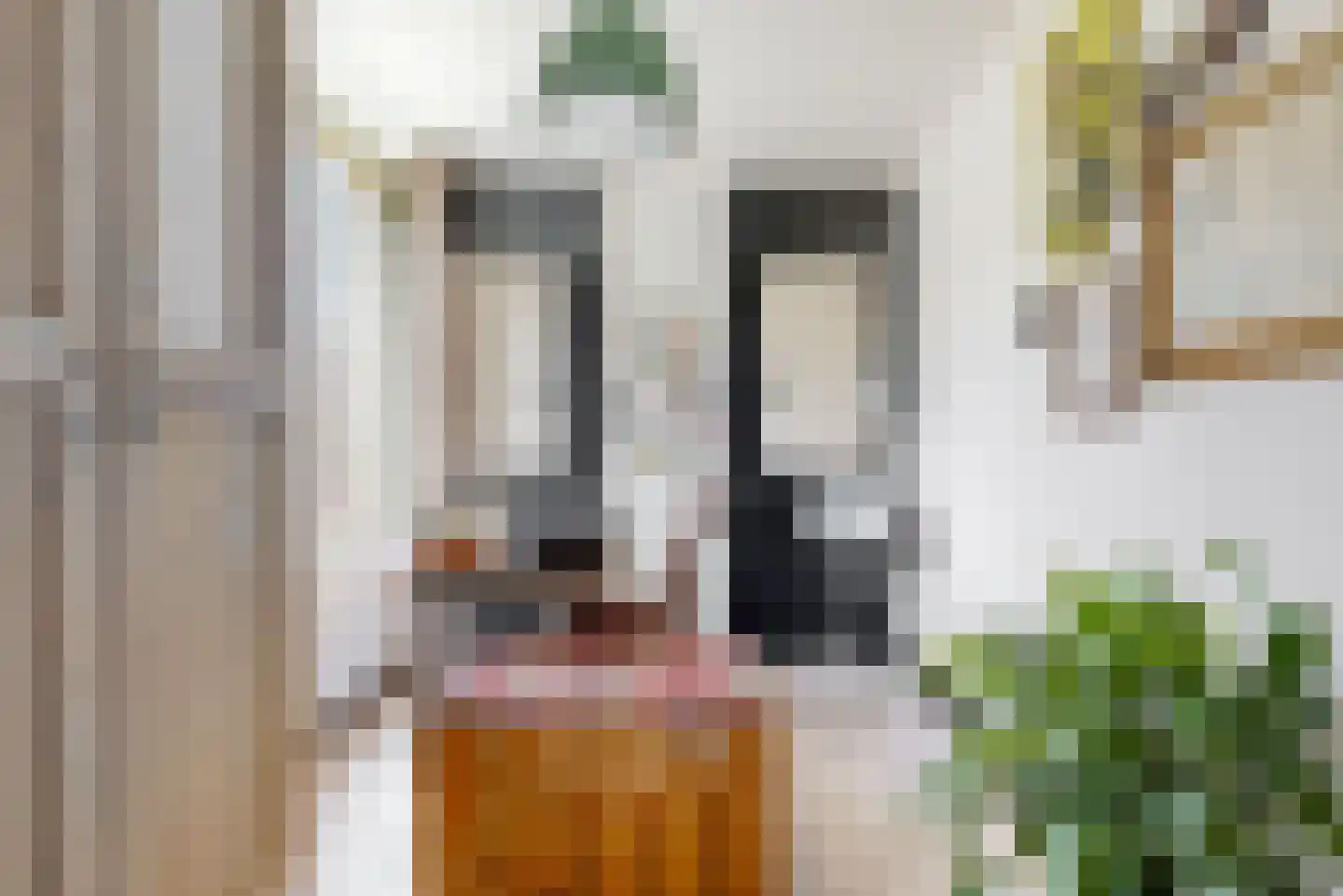 Belboomweg 32 Stein thumbnail 14