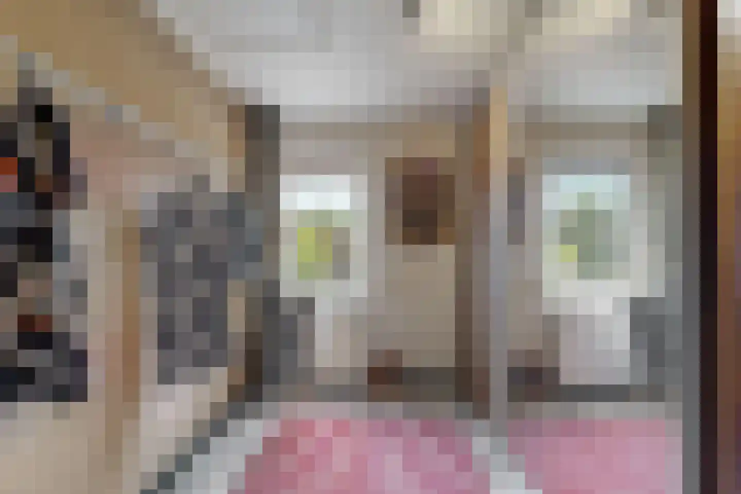 Belboomweg 32 Stein thumbnail 20
