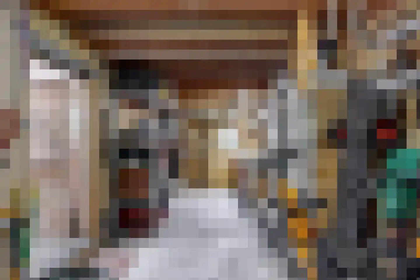 Belboomweg 32 Stein thumbnail 21