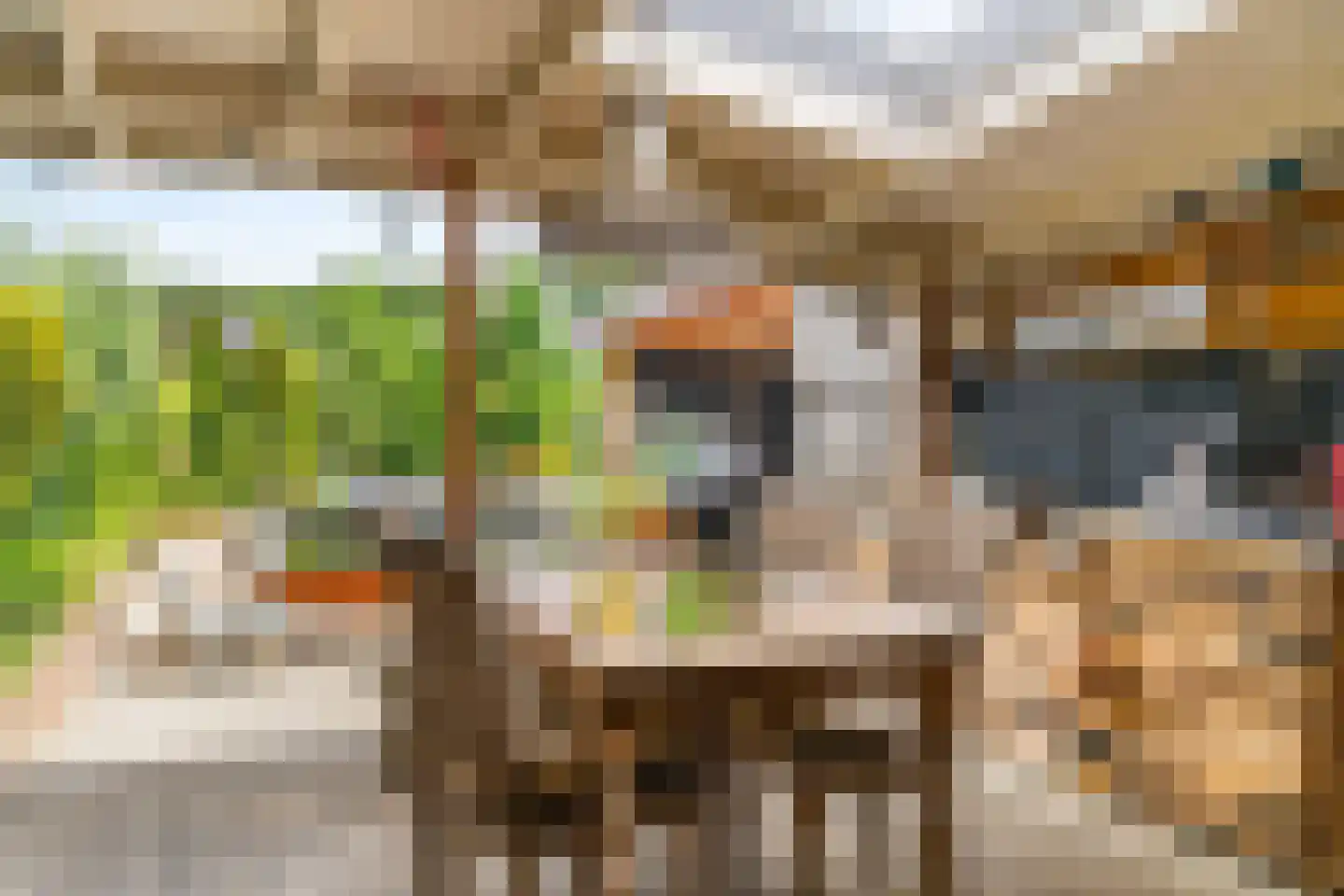 Belboomweg 32 Stein thumbnail 26