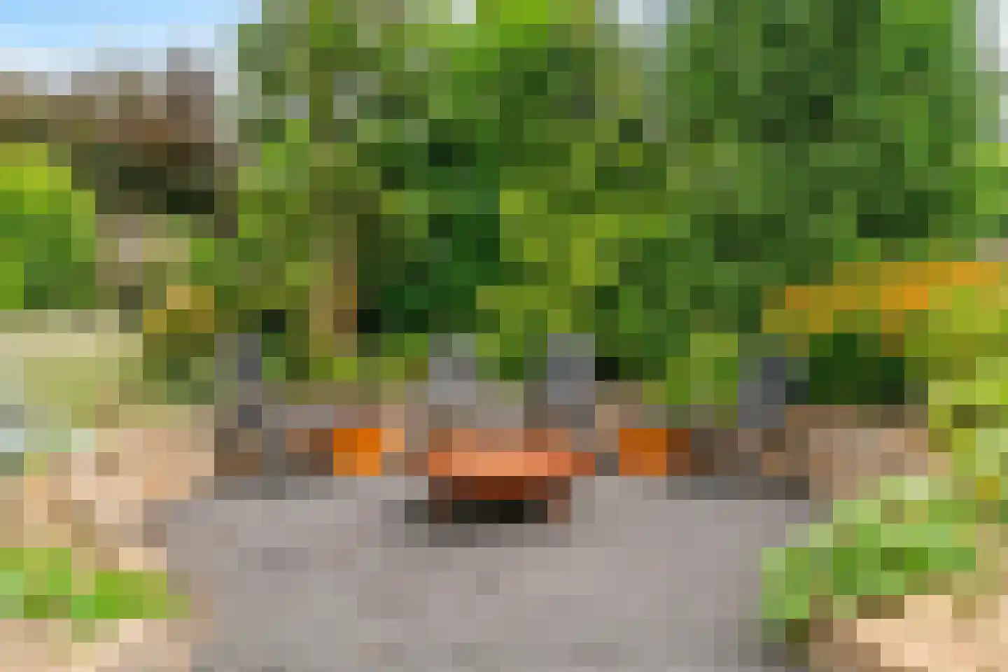 Belboomweg 32 Stein thumbnail 31