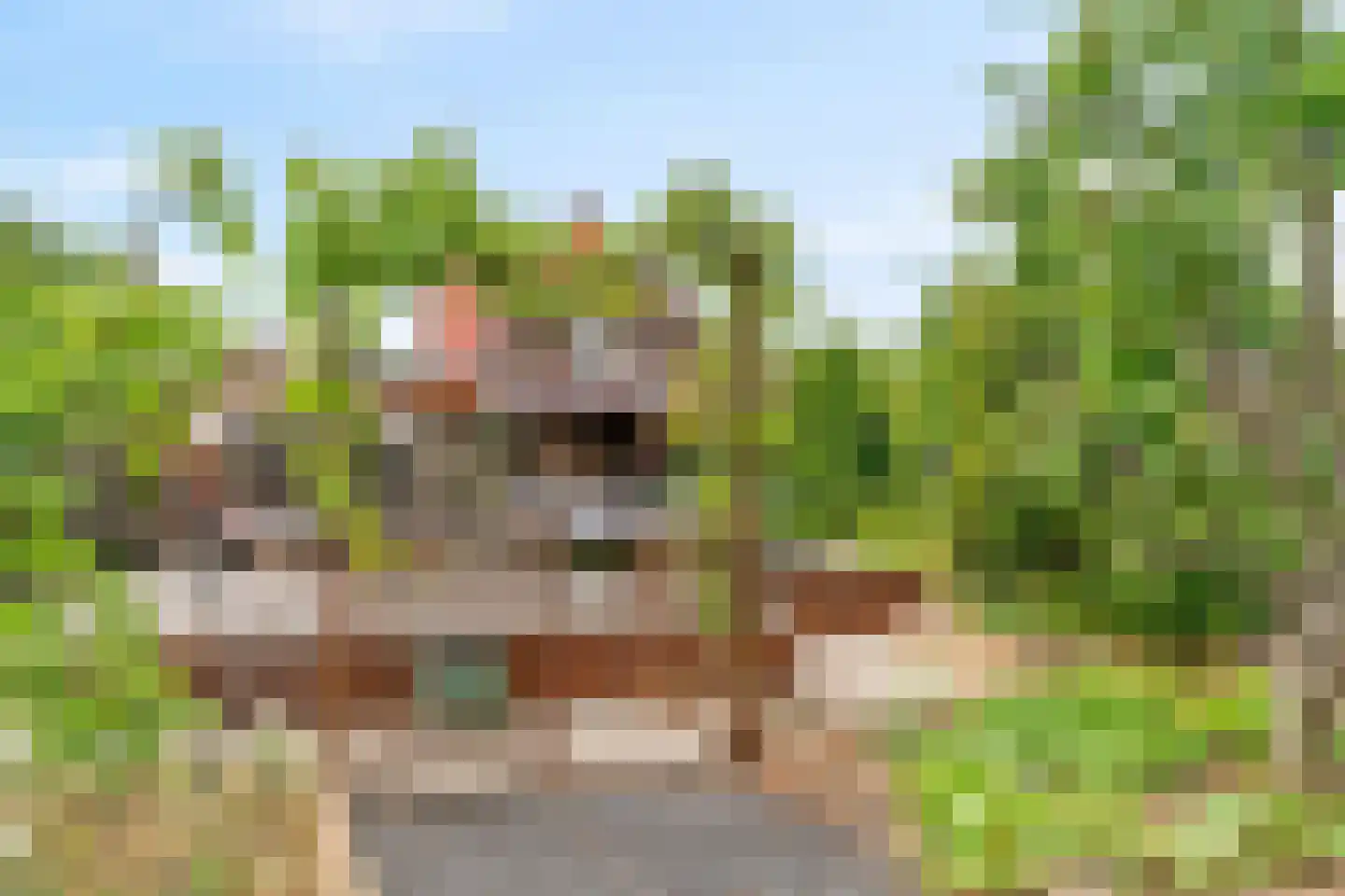 Belboomweg 32 Stein thumbnail 32