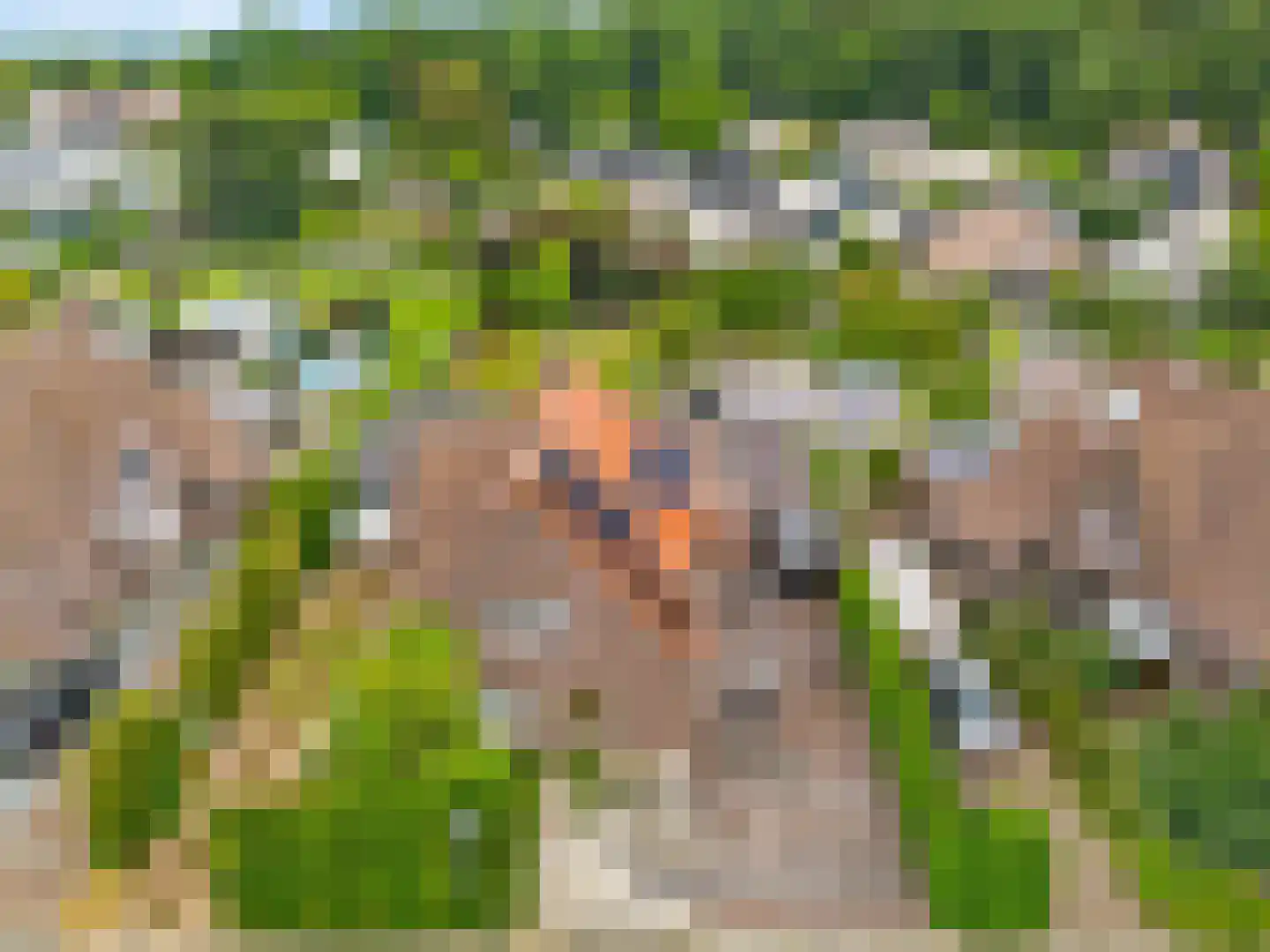 Belboomweg 32 Stein thumbnail 4