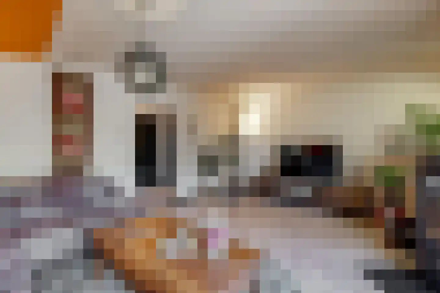 Belboomweg 32 Stein thumbnail 6